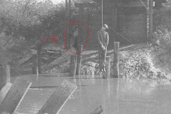 Il fantasma di Viola Peters