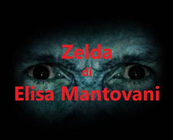 Zelda di Elisa Mantovani